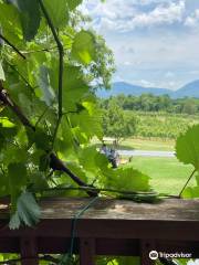 Shenandoah Vineyards