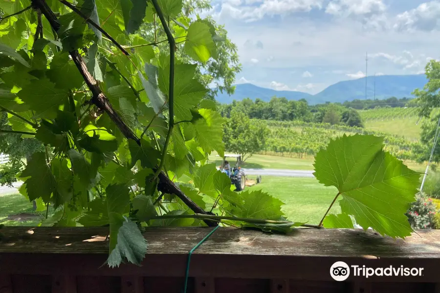 Shenandoah Vineyards