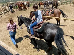 Mt Princeton Hot Springs Stables