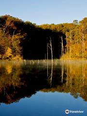 Village Creek State Park