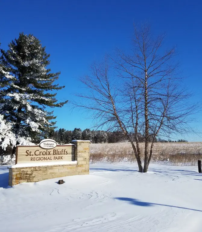 Denmark Township