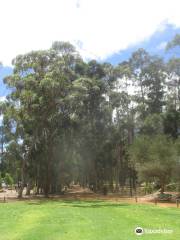 Mundaring Community Sculpture Park