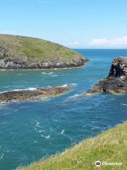 Cardigan Island Coastal Farm Park