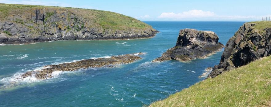 Cardigan Island Coastal Farm Park