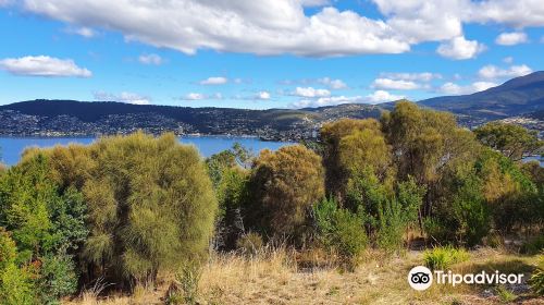 Rosny Point Lookout