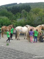 Pony und Reiterhof Mai