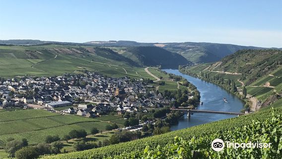 Trittenheim