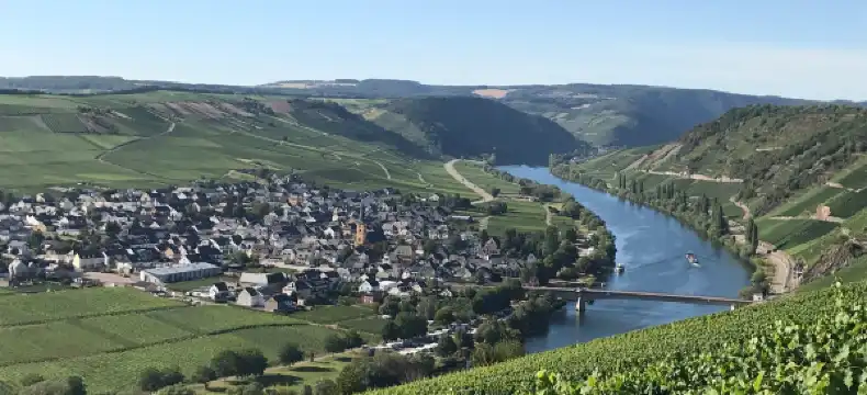 Hotels in Trittenheim