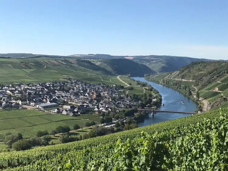 Hotels in Trittenheim