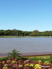 Lago Municipal De Toledo