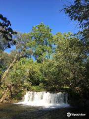 Lynn River Falls