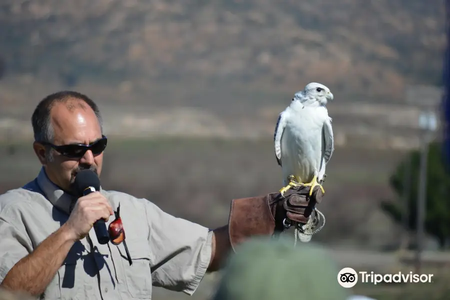 Wildlife Research Center