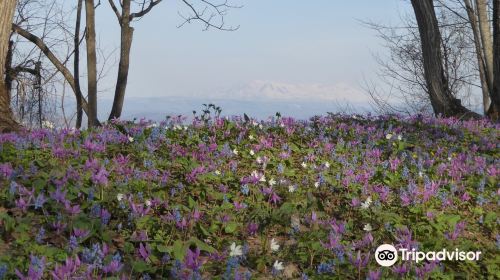 Otokoyama Natural Park