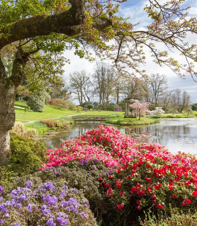 Cholmondeley
