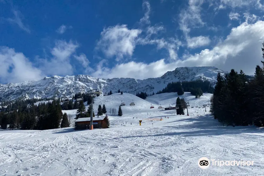 Bergbahnen Bad Hindelang Oberjoch