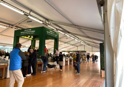 Alba International White Truffle Fair