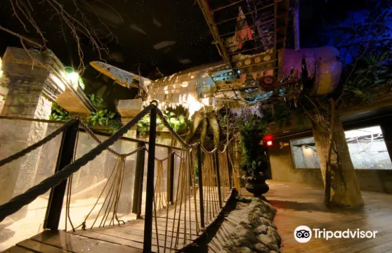 Bird Kingdom門票成人