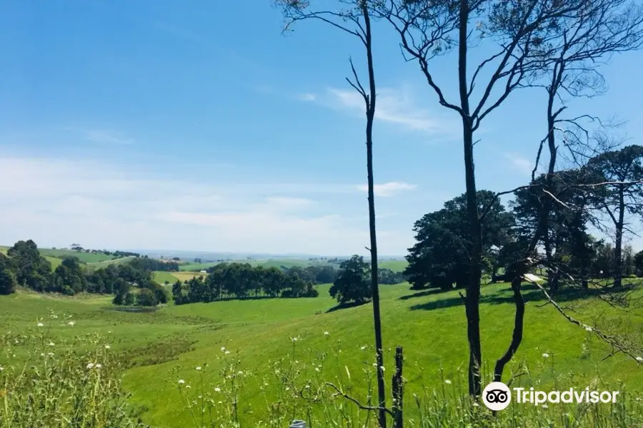 Foster North Scenic Lookout