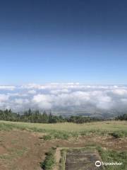 Paraglide Maui