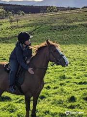 Rookin House Equestrian & Activity Centre Ltd