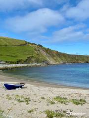 Shetland Nature