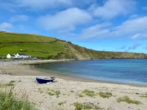 Shetland Nature