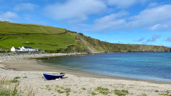 Shetland Nature