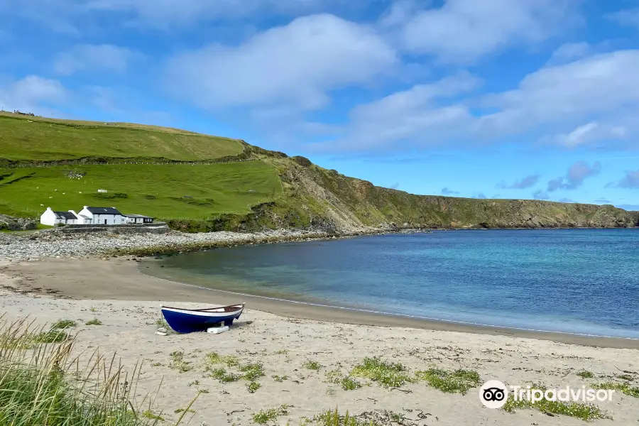 Shetland Nature