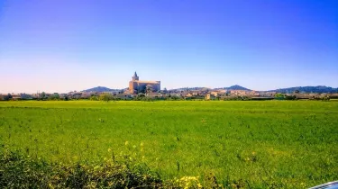 Porreres