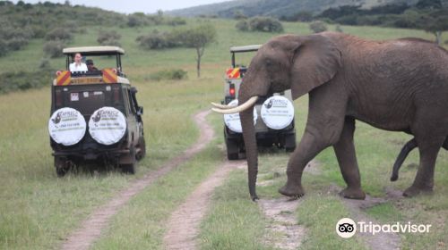 Africa Vacation Safaris