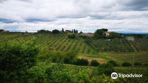 Azienda Agricola Romeo