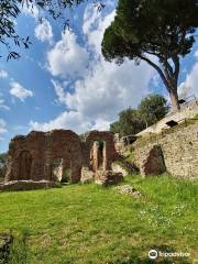 Area Archeologica Massaciuccoli Romana