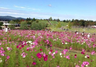 Echigo Hillside Park