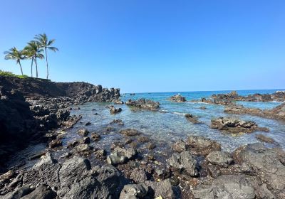 Whittington Beach Park