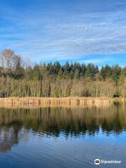 Green Timbers Urban Forest Park