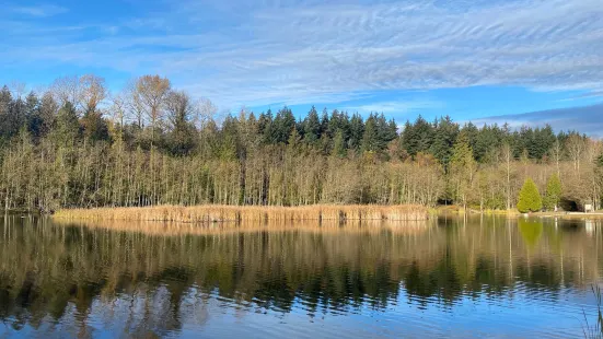 Green Timbers Urban Forest Park