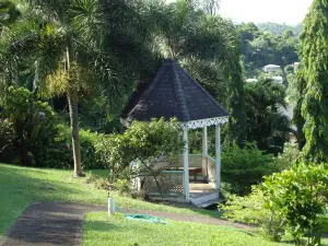 Hyde Park Tropical Garden