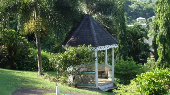 Hyde Park Tropical Garden