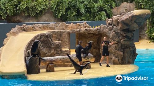 Loro Parque