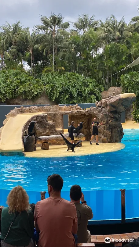 4_Loro Parque