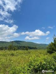 Cranberry Glades Botanical Area