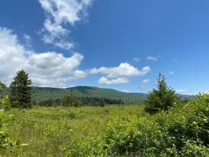 Cranberry Glades Botanical Area