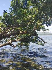 Lake Danao