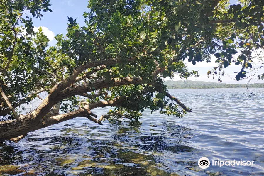 Lake Danao