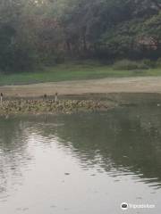 Savar Golf Course