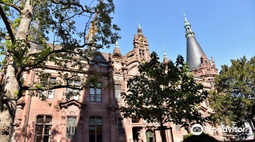 Heidelberg University Library