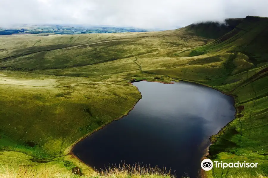 Llyn y Fan Fach