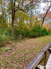 Rusk, TX Footbridge