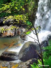 Wooroonooran National Park