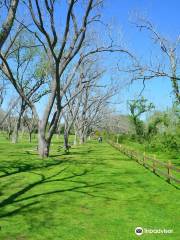 Washington-on-the-Brazos State Historic Site